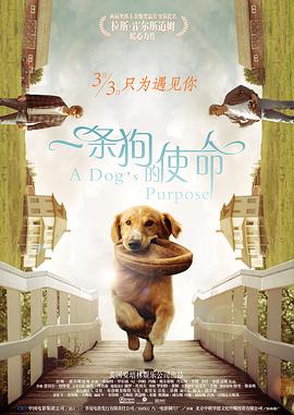 HD手机免费观看完整