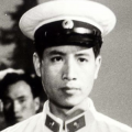 手机在线观看
